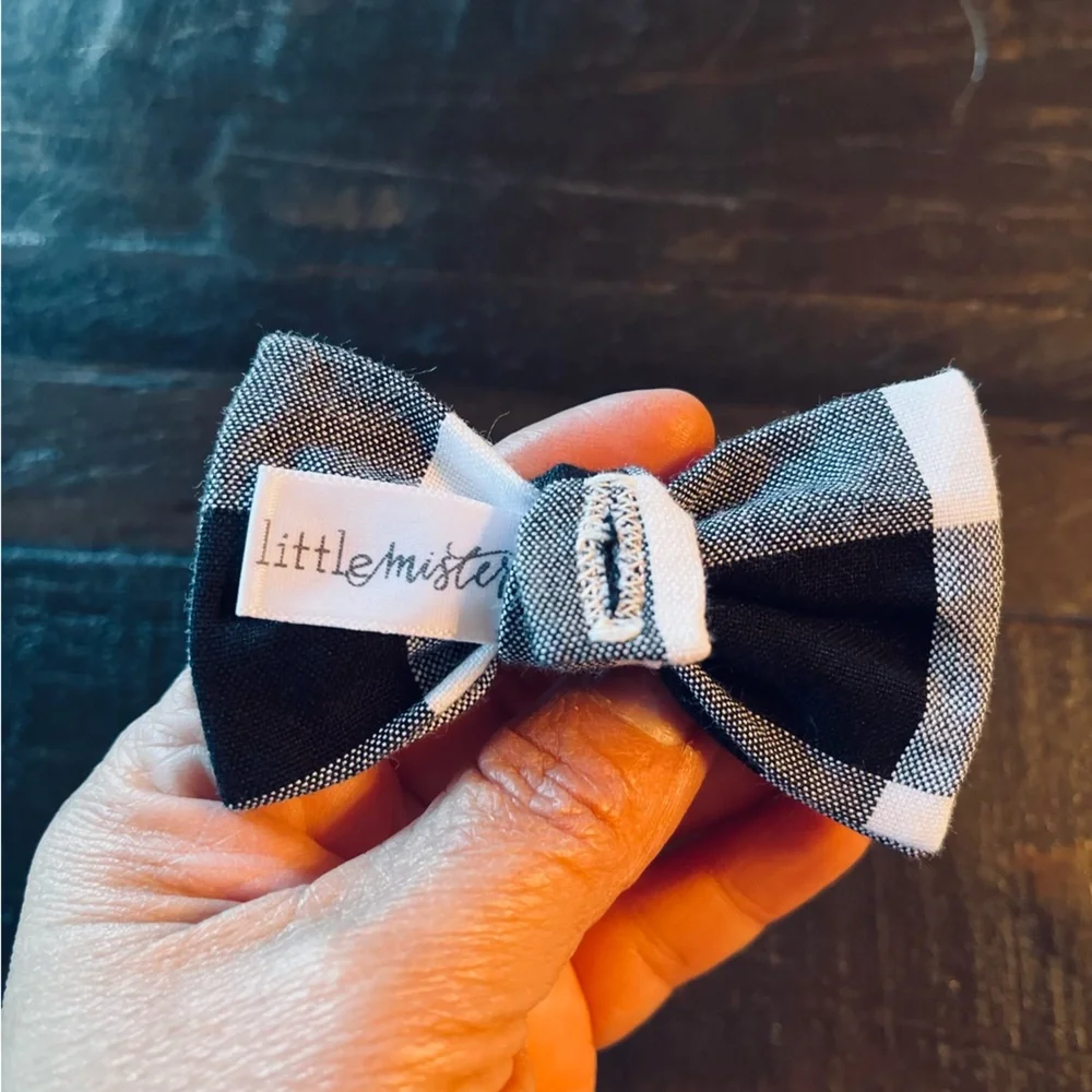 Little Mister Bow Tie